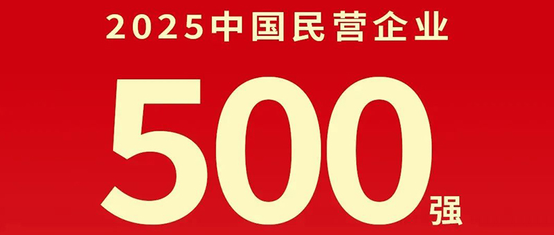 剛剛！2025中國民營企業(yè)500強(qiáng)發(fā)布，淮?？毓杉瘓F(tuán)位列第485位！